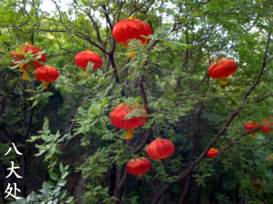 Beijing Badachu Park 八大处