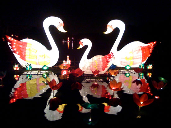 龙潭映月-彩灯文化节 2009年