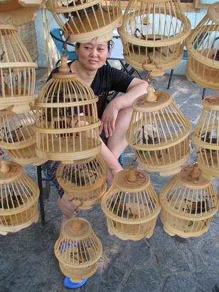 Lady selling enormous crickets