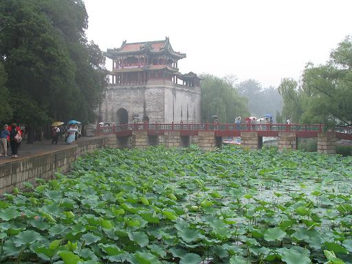 Near the Summer Palace, lily pads everywhere...