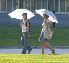 Umbrellas out in clear skies