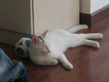 sunday_relaxing