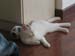 sunday_relaxing